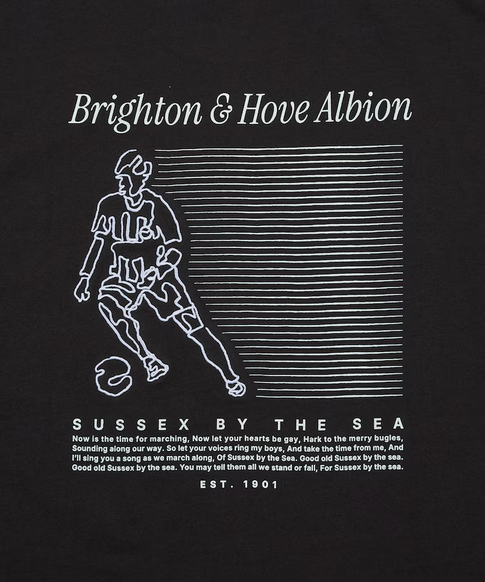 [Release on 5/22 at 12:00] Brighton & Hove Albion FC - SEAGULLS PLAYER LINE TEE