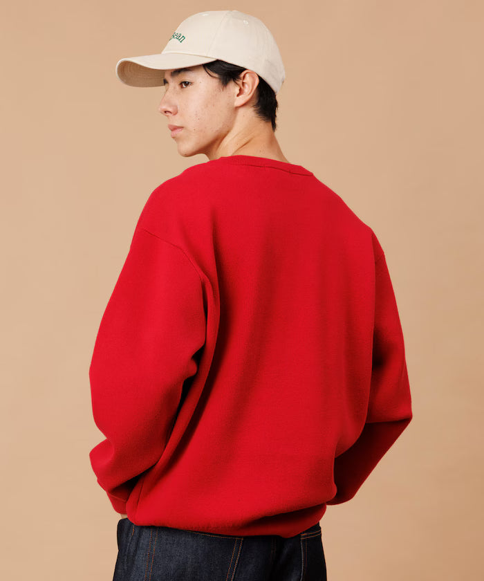 Sweat-like Crew Neck Knit