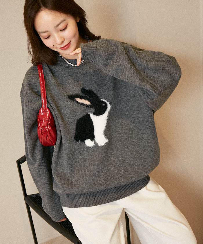 Shaggy Embroidered Rabbit Design Knit Limited Edition