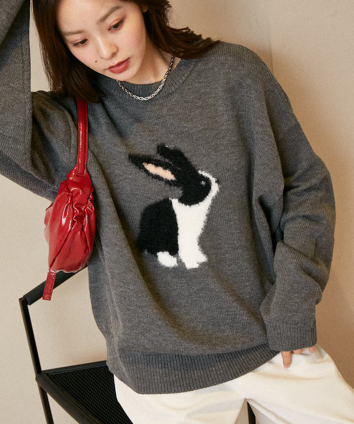 Shaggy Embroidered Rabbit Design Knit Limited Edition