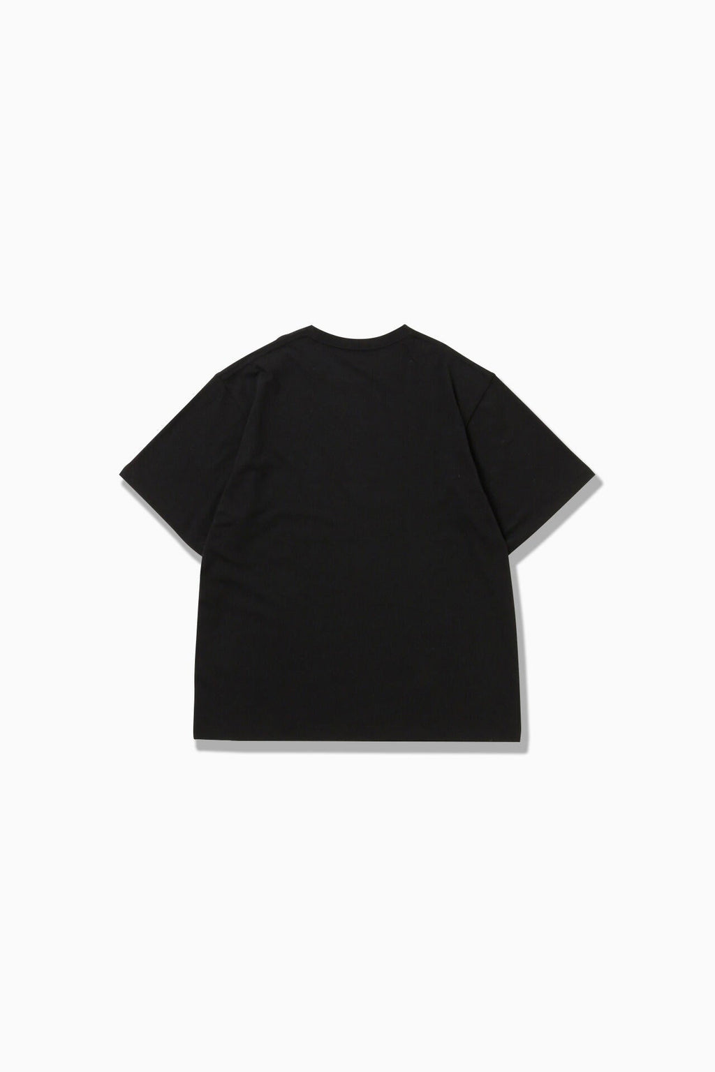 and wander big logo SS T