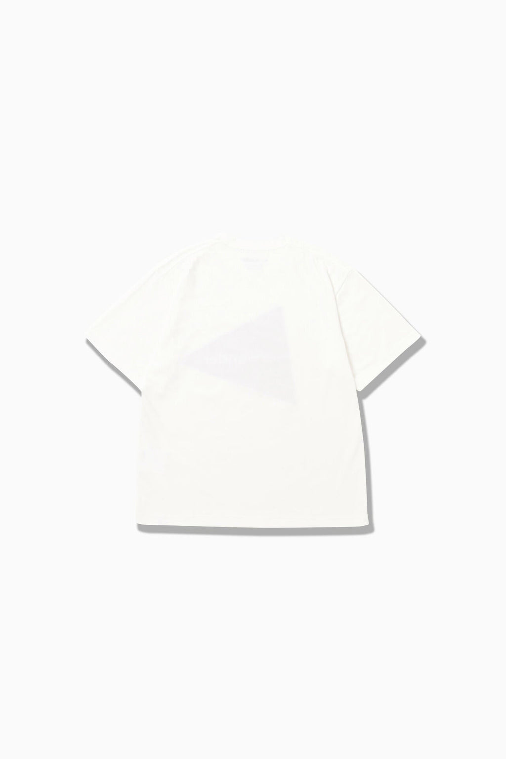 and wander big logo SS T