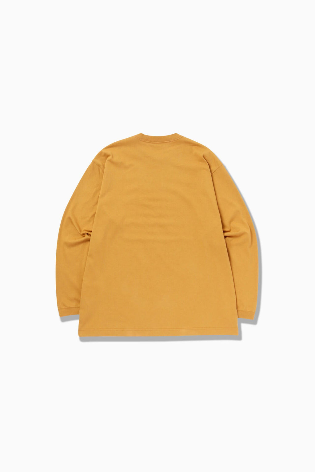 typography printed  LS T
