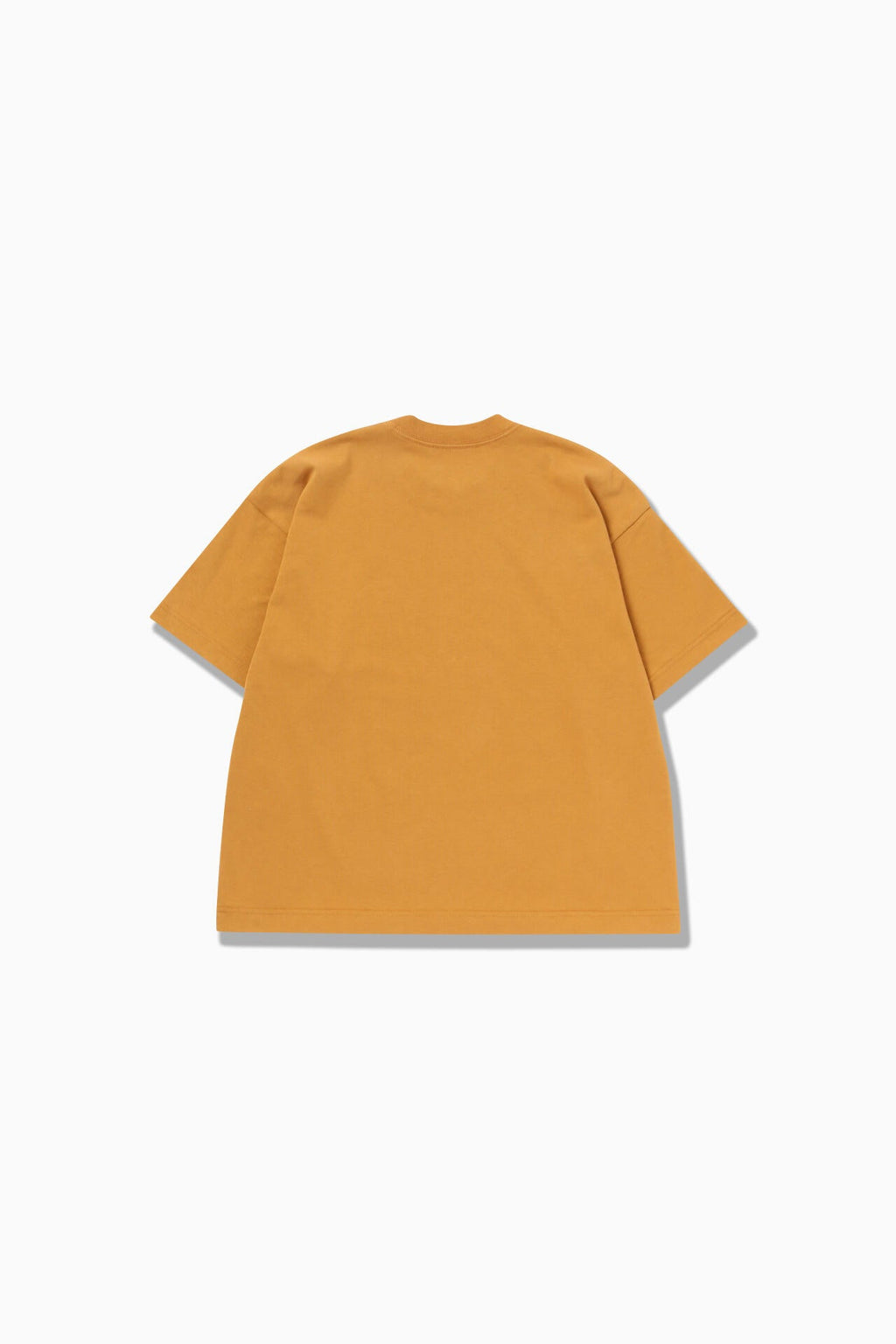 typography printed SS T