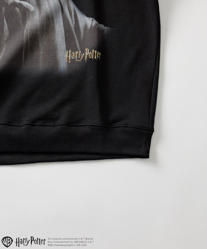 Harry Potter / Harry Potter Lord Voldemort Crew Neck Sweat