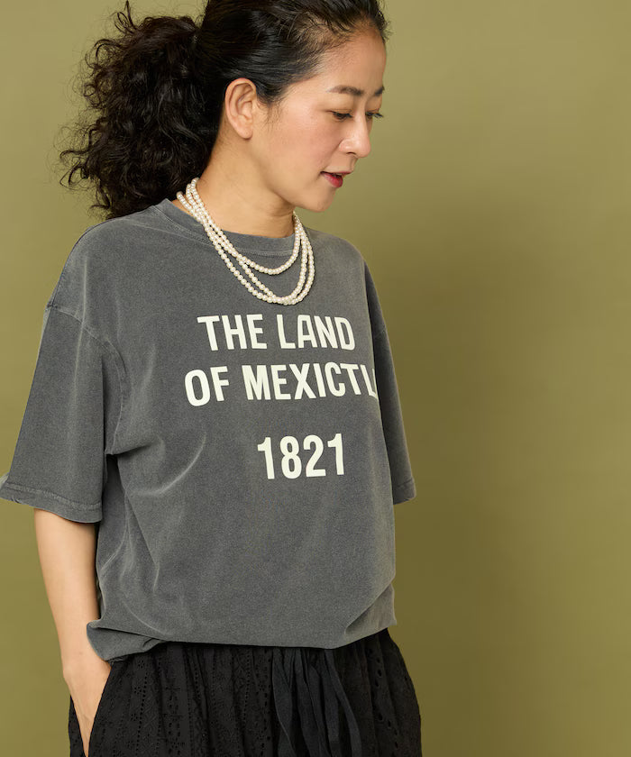 Flocky Print Big T-shirt