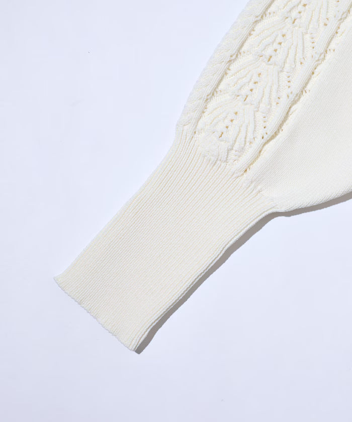 Variation Button Volume Sleeve Cable Knit Cardigan