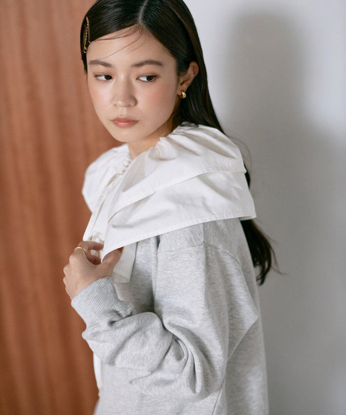 Organic Cotton Multiway Color Sweat / Back毛 Sweat / Set Item