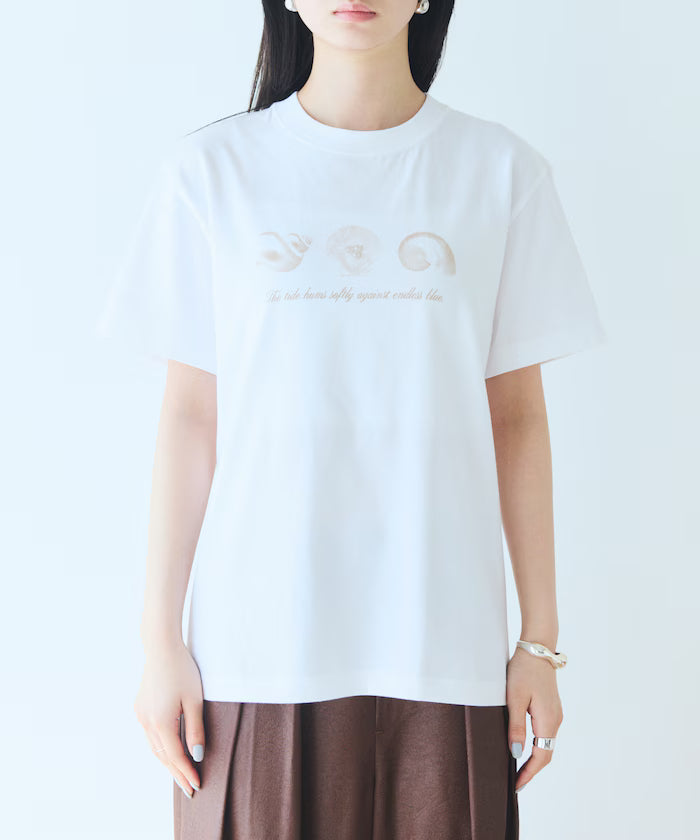 Comfortable Shell Print Crew Neck T-Shirt