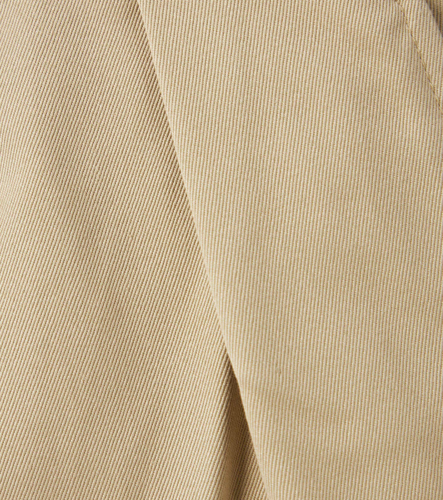 Double Pleated Chino Pants