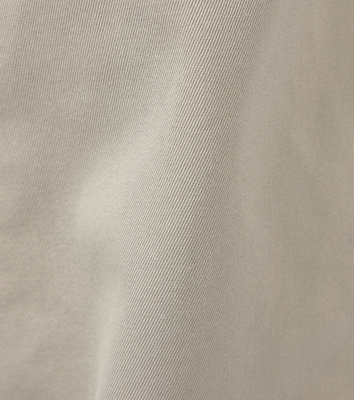 Double Pleated Chino Pants