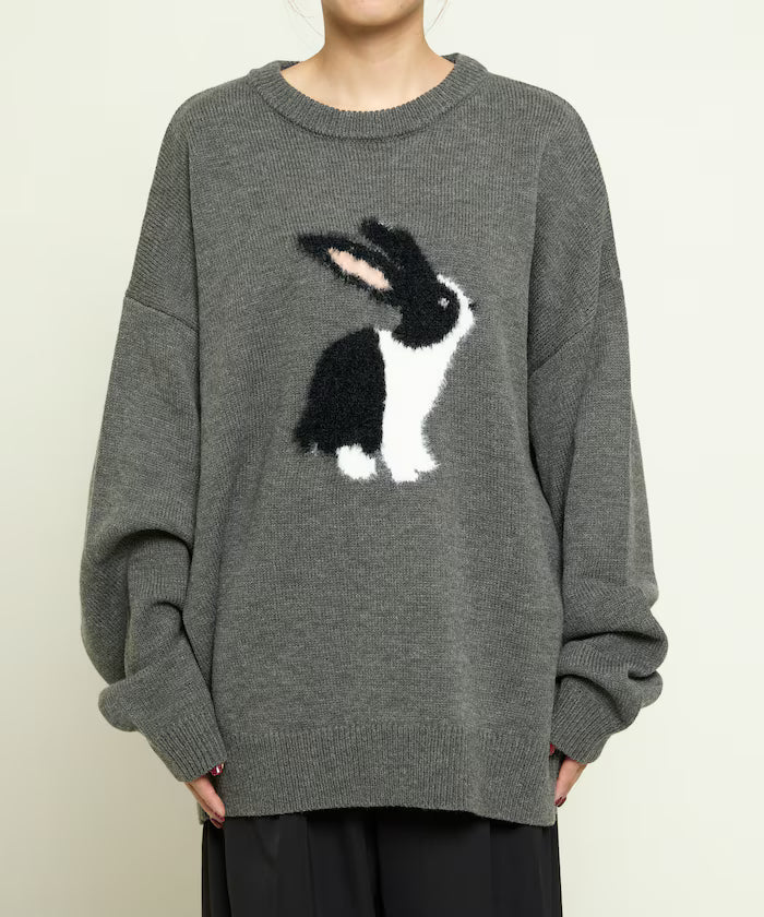 Shaggy Embroidered Rabbit Design Knit Limited Edition