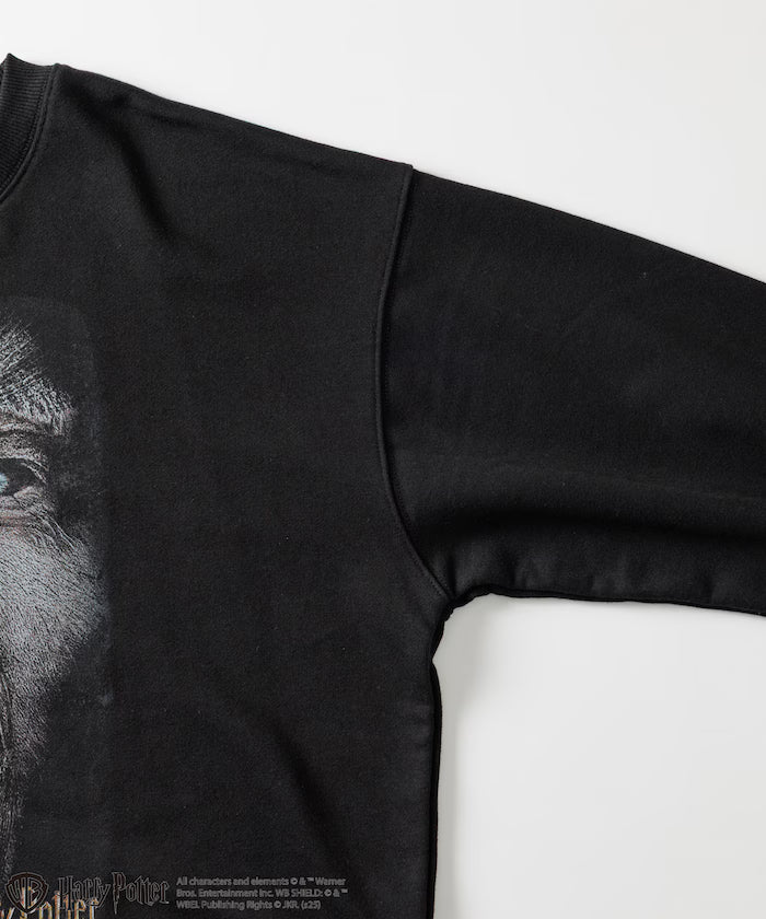 Harry Potter / Harry Potter Greyback Crewneck Sweat