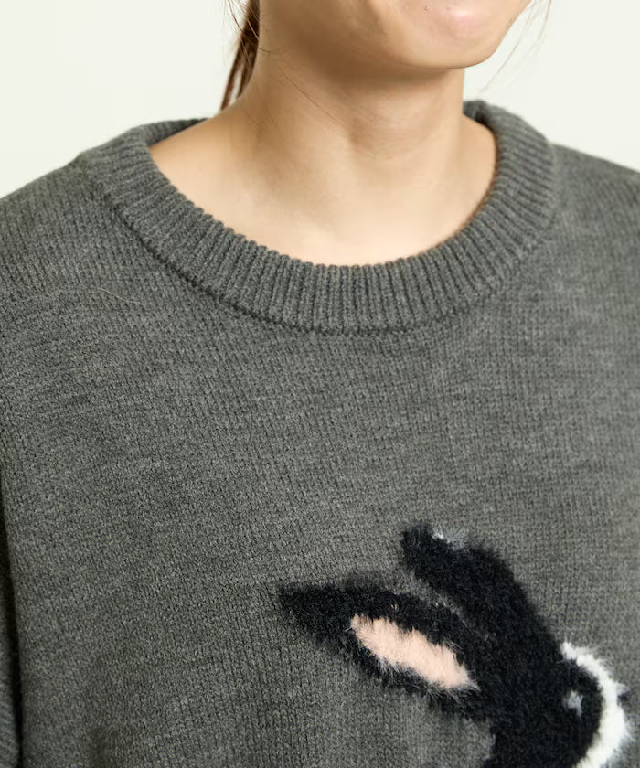 Shaggy Embroidered Rabbit Design Knit Limited Edition