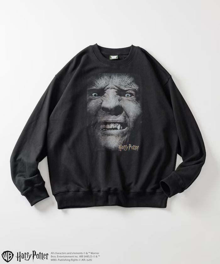 Harry Potter / Harry Potter Greyback Crewneck Sweat