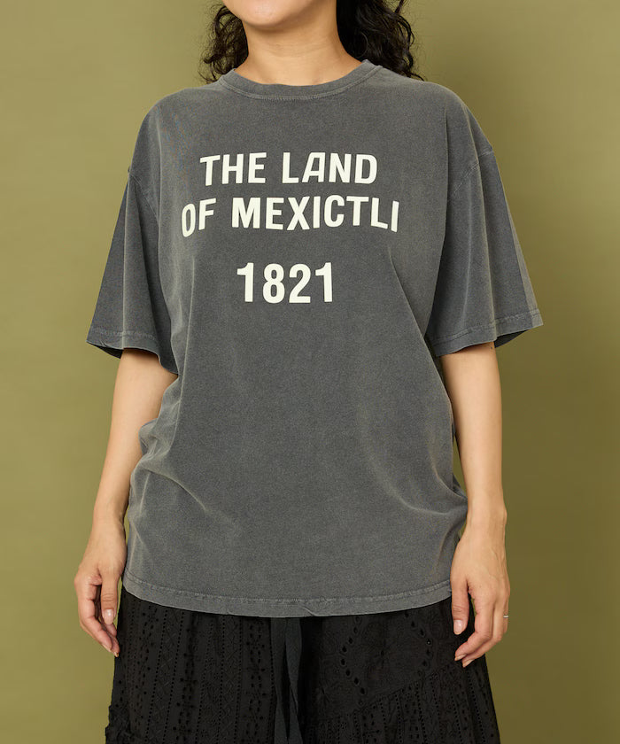 Flocky Print Big T-shirt