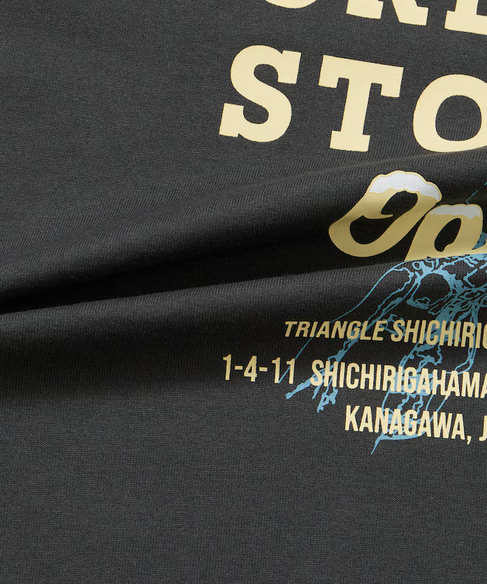 HOLIDAY ICECREAM×FREAK'S STORE Collaboration Big Silhouette Back Print Crew Neck T-Shirt [Limited Edition]