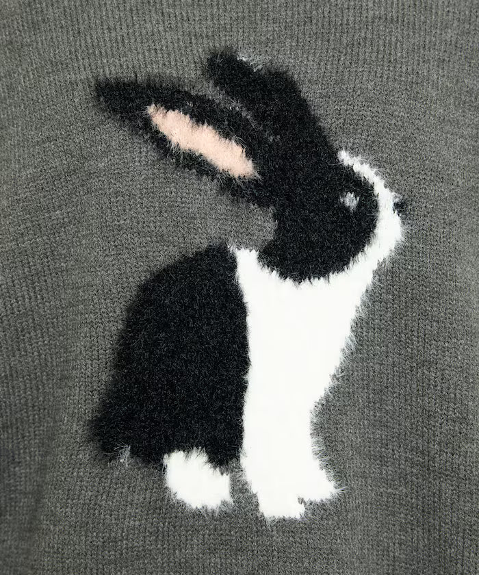 Shaggy Embroidered Rabbit Design Knit Limited Edition