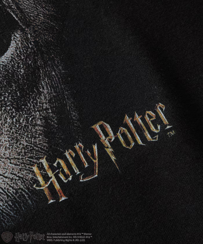Harry Potter / Harry Potter Greyback Crewneck Sweat