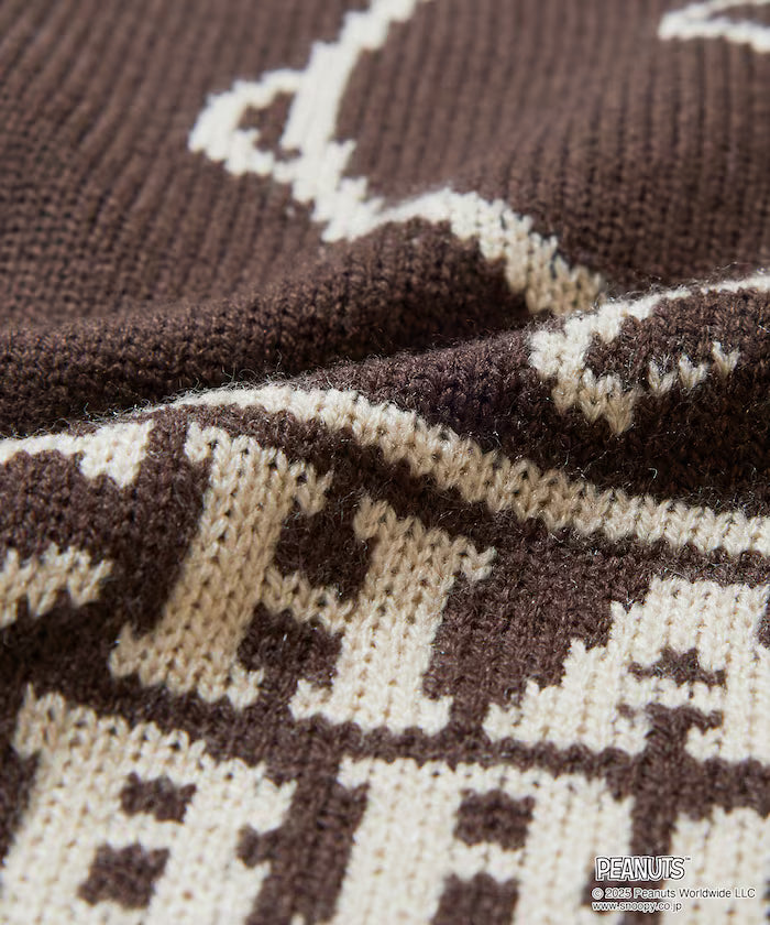 PEANUTS/Peanuts Exclusive Relaxed Fit Jacquard Crewneck Knit / Charlie Brown [Limited Edition]