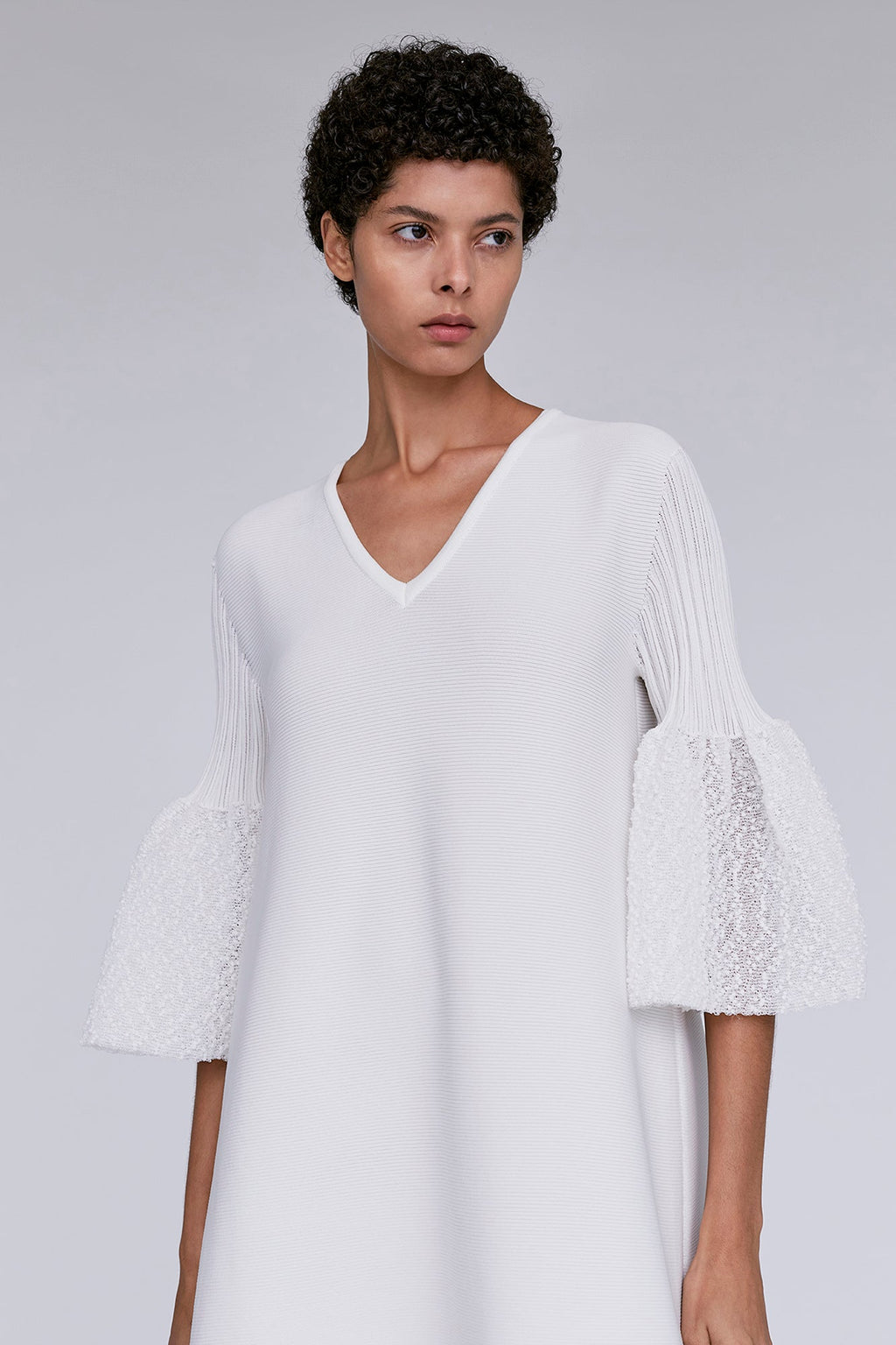 POTTERY ORNAMENT SHORT BELL SLEEVE FLARE DRESS