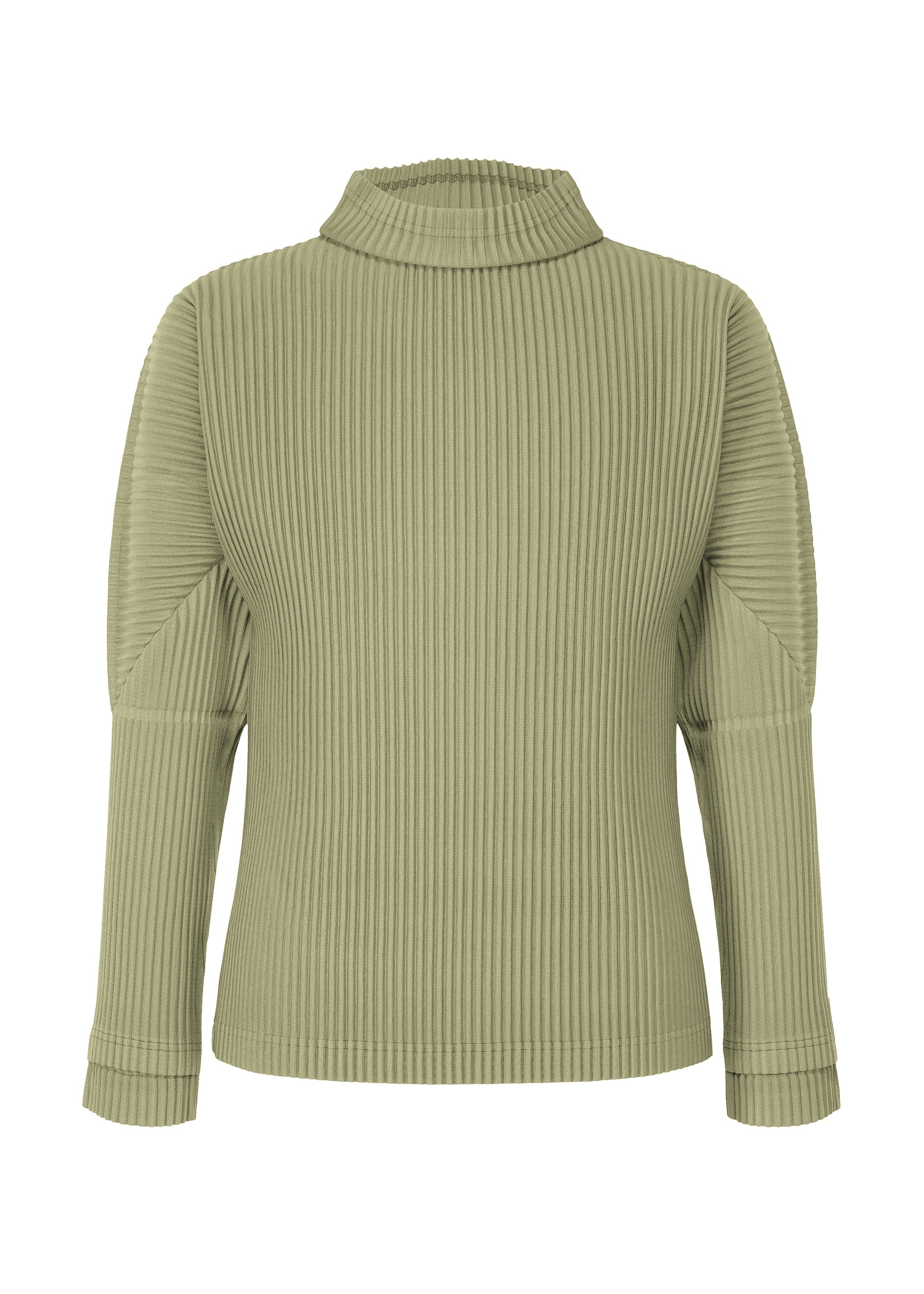 Monthly Colors : November - MANGAN GREEN