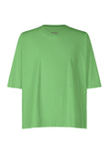Release-T 1 - GREEN