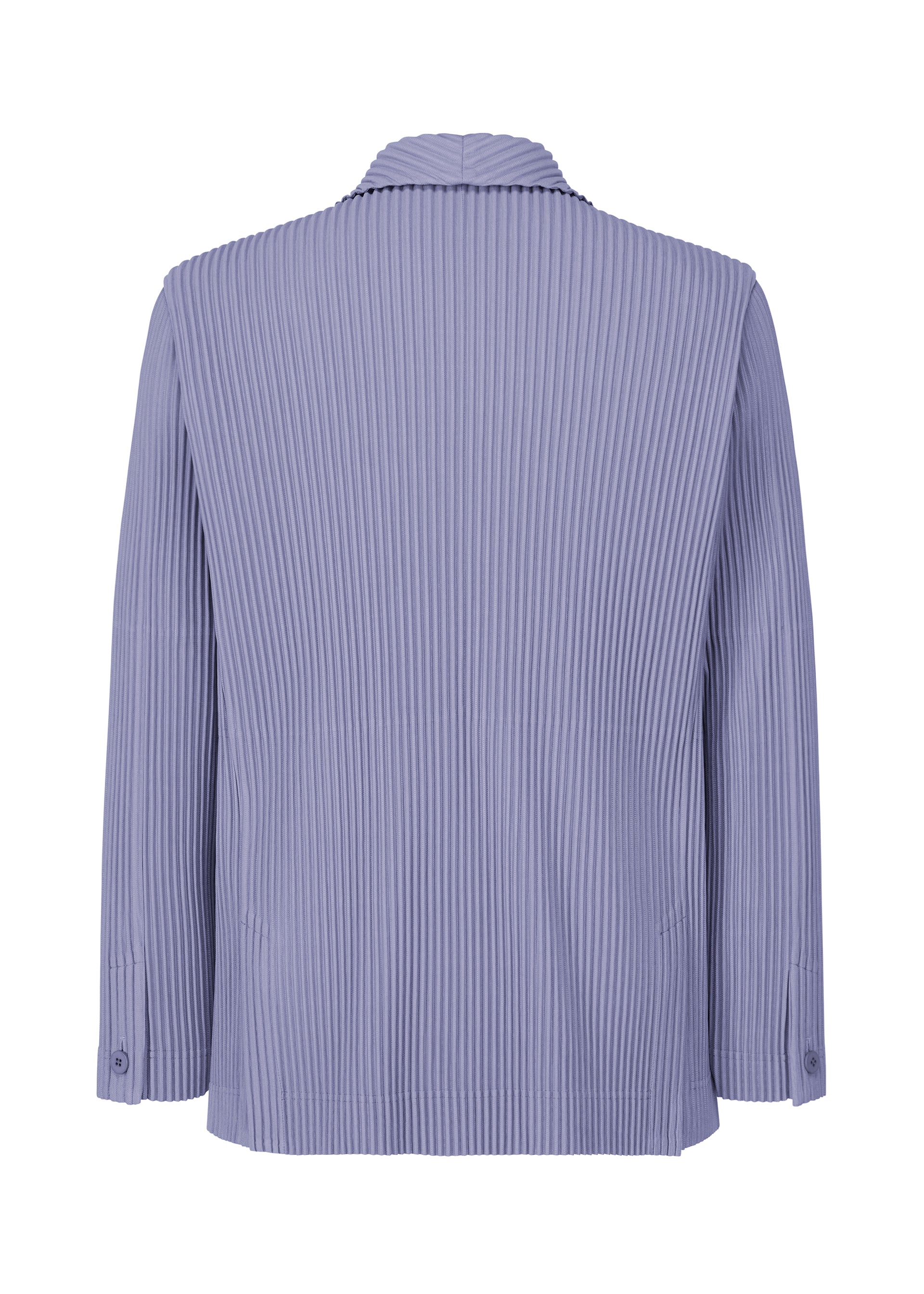 Tailored Pleats 1