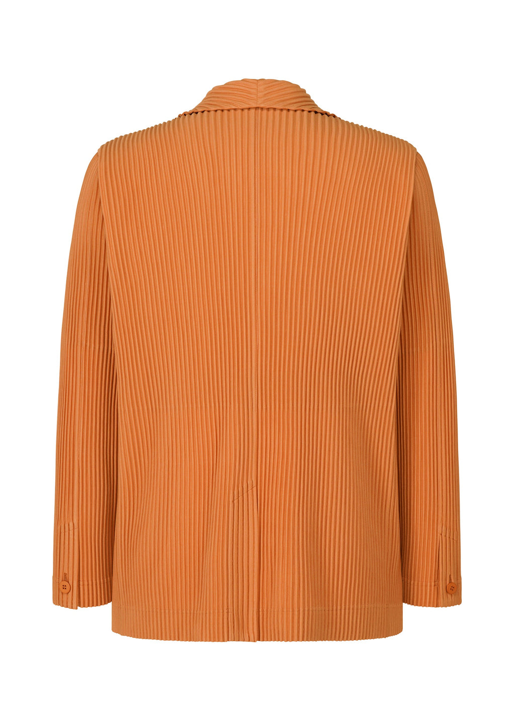 Tailored Pleats 2