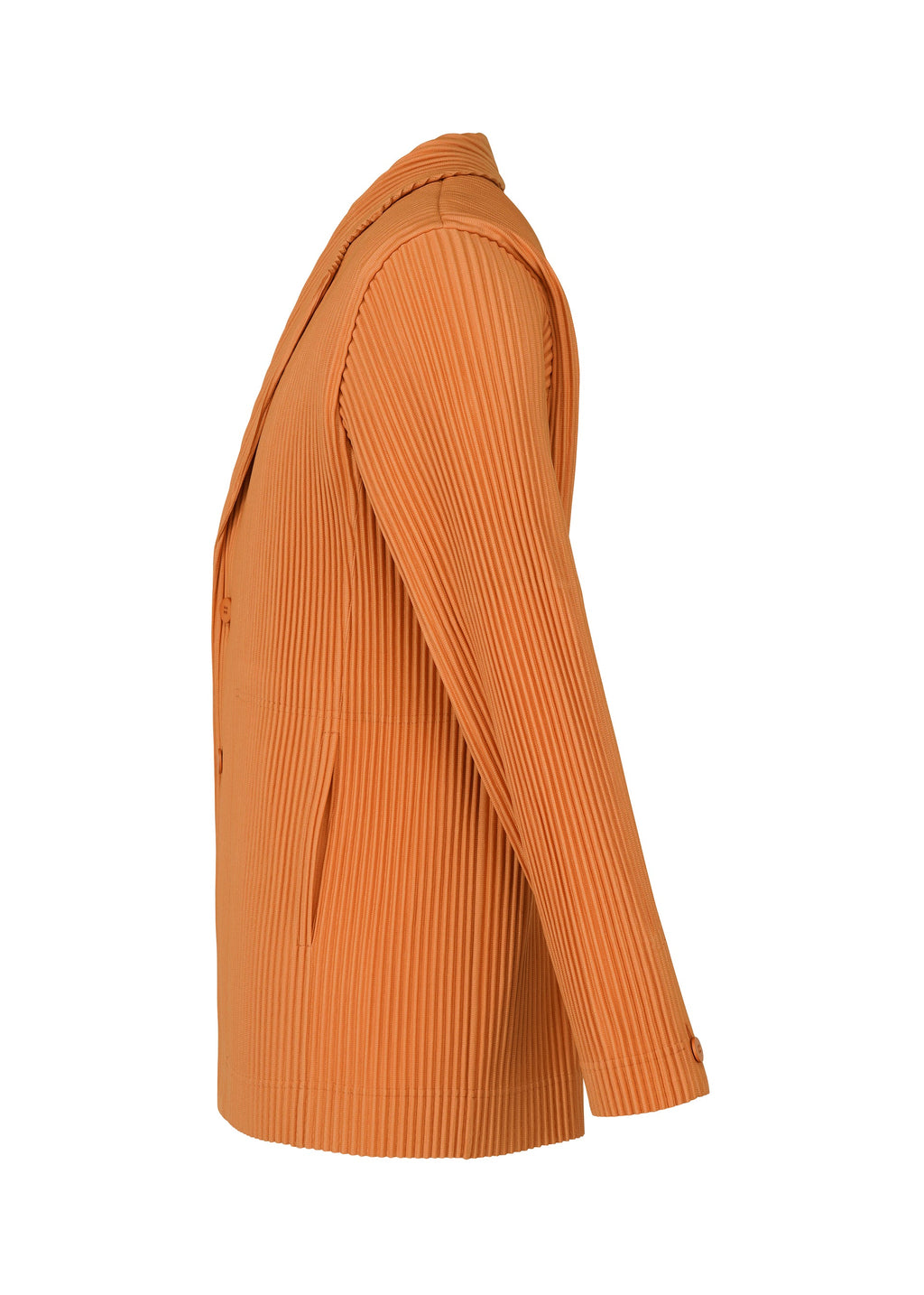 Tailored Pleats 2