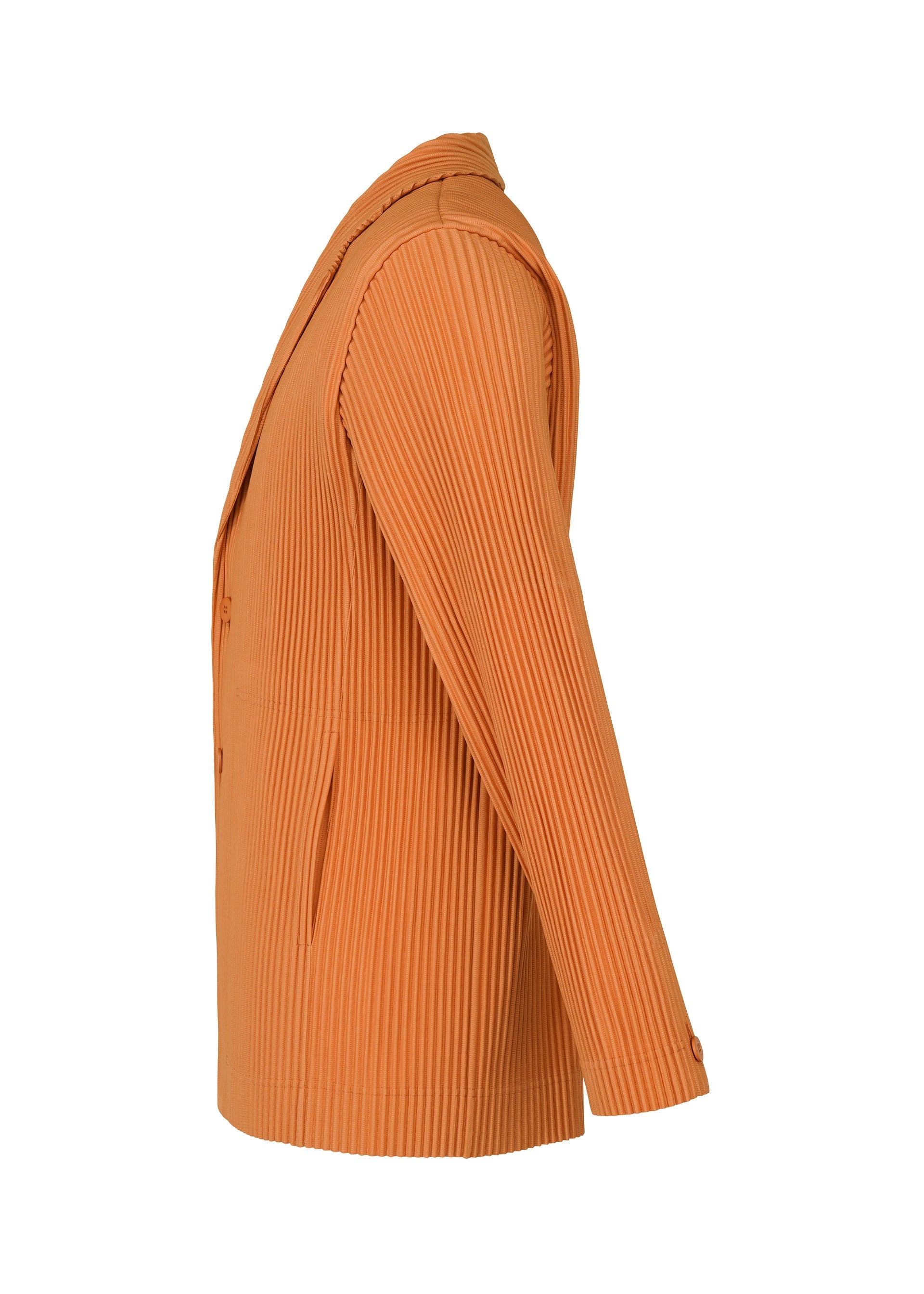 Tailored Pleats 2