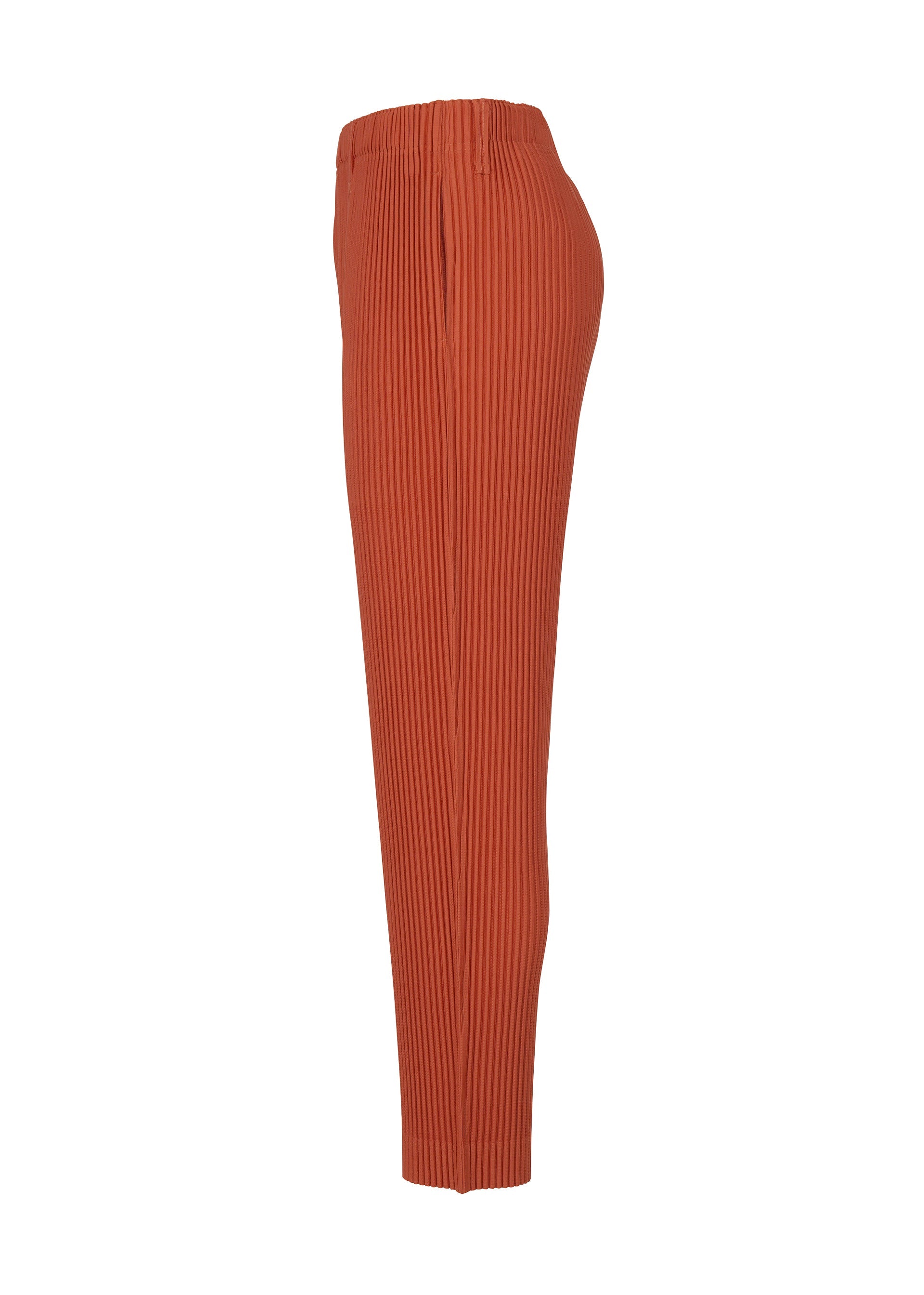 Tailored Pleats 3