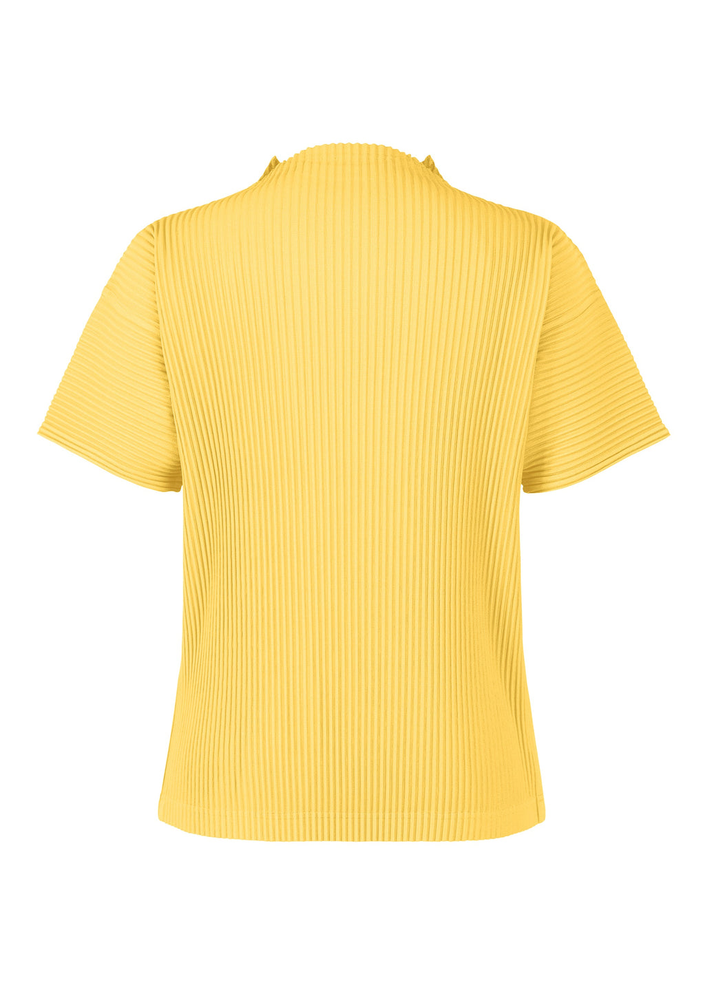 Monthly Colors : March