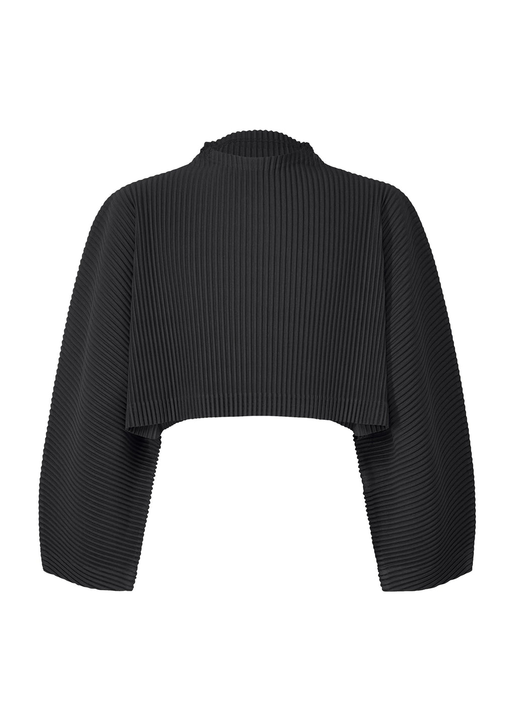 Color Pleats 1 - BLACK