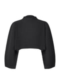 Color Pleats 1 - BLACK