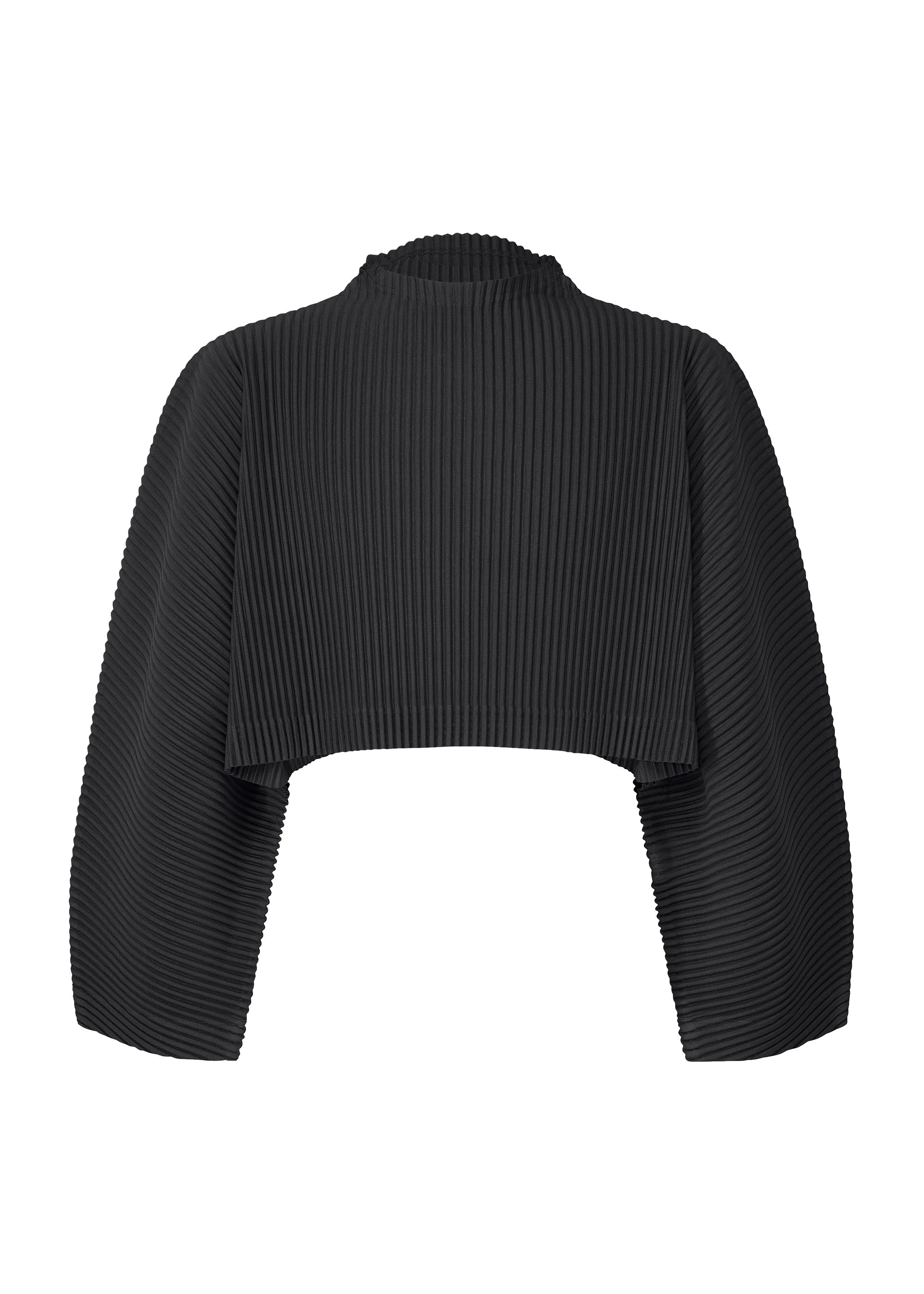 Color Pleats 1 - BLACK
