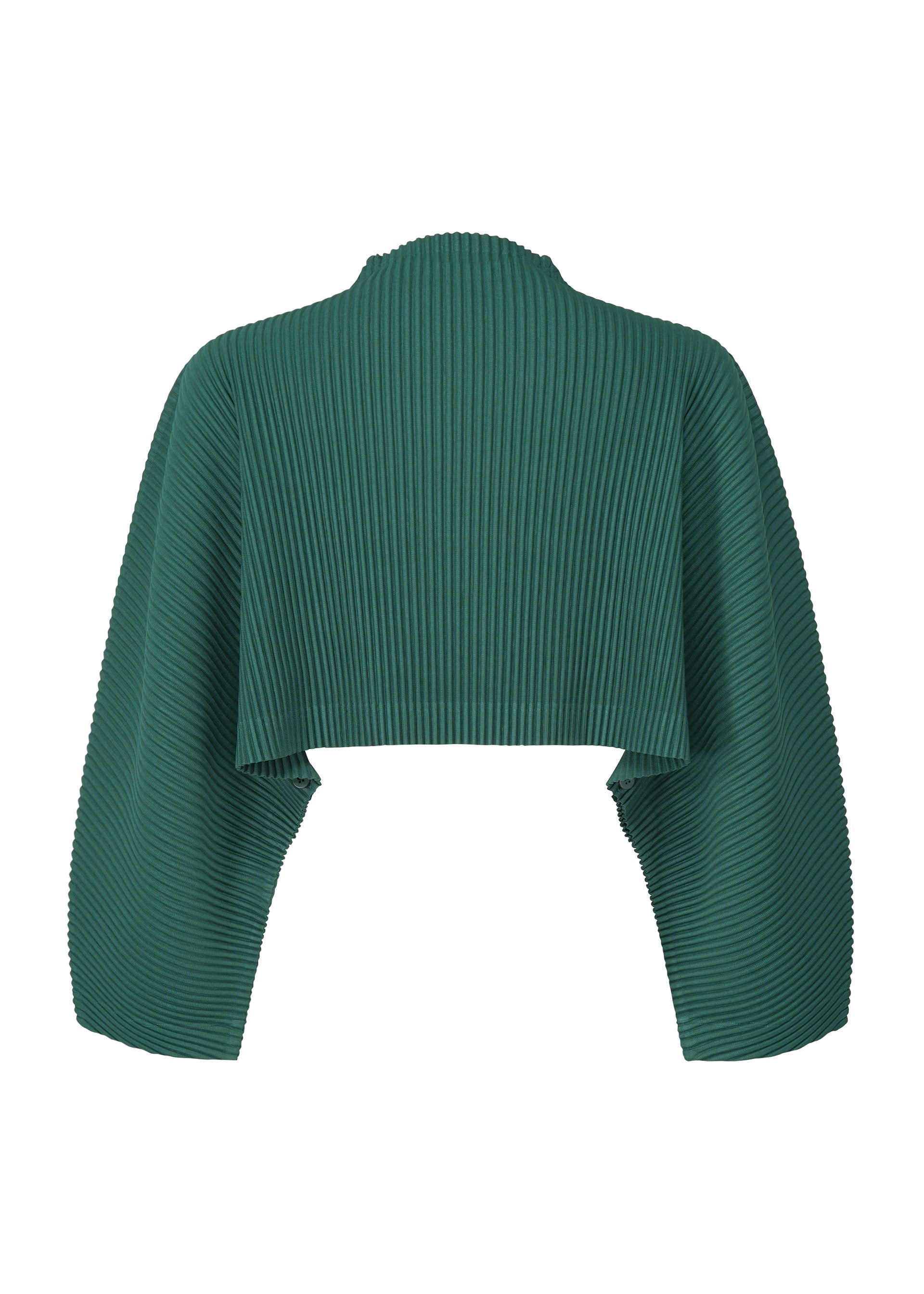 Color Pleats 1
