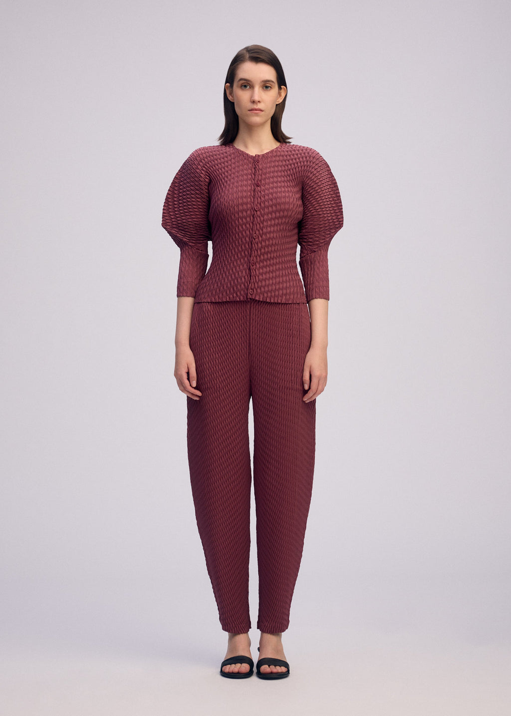Sleek Pleats