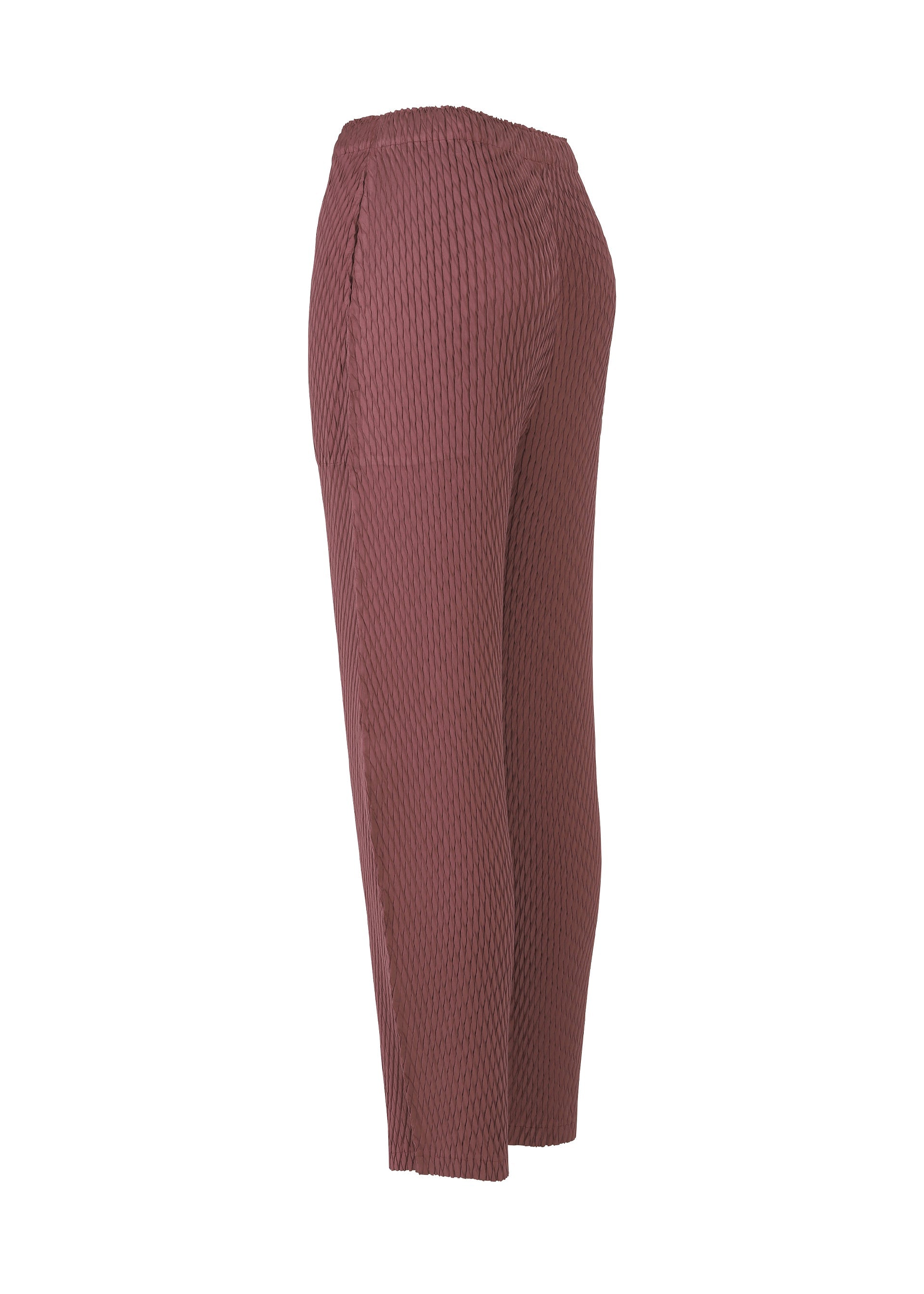 Sleek Pleats