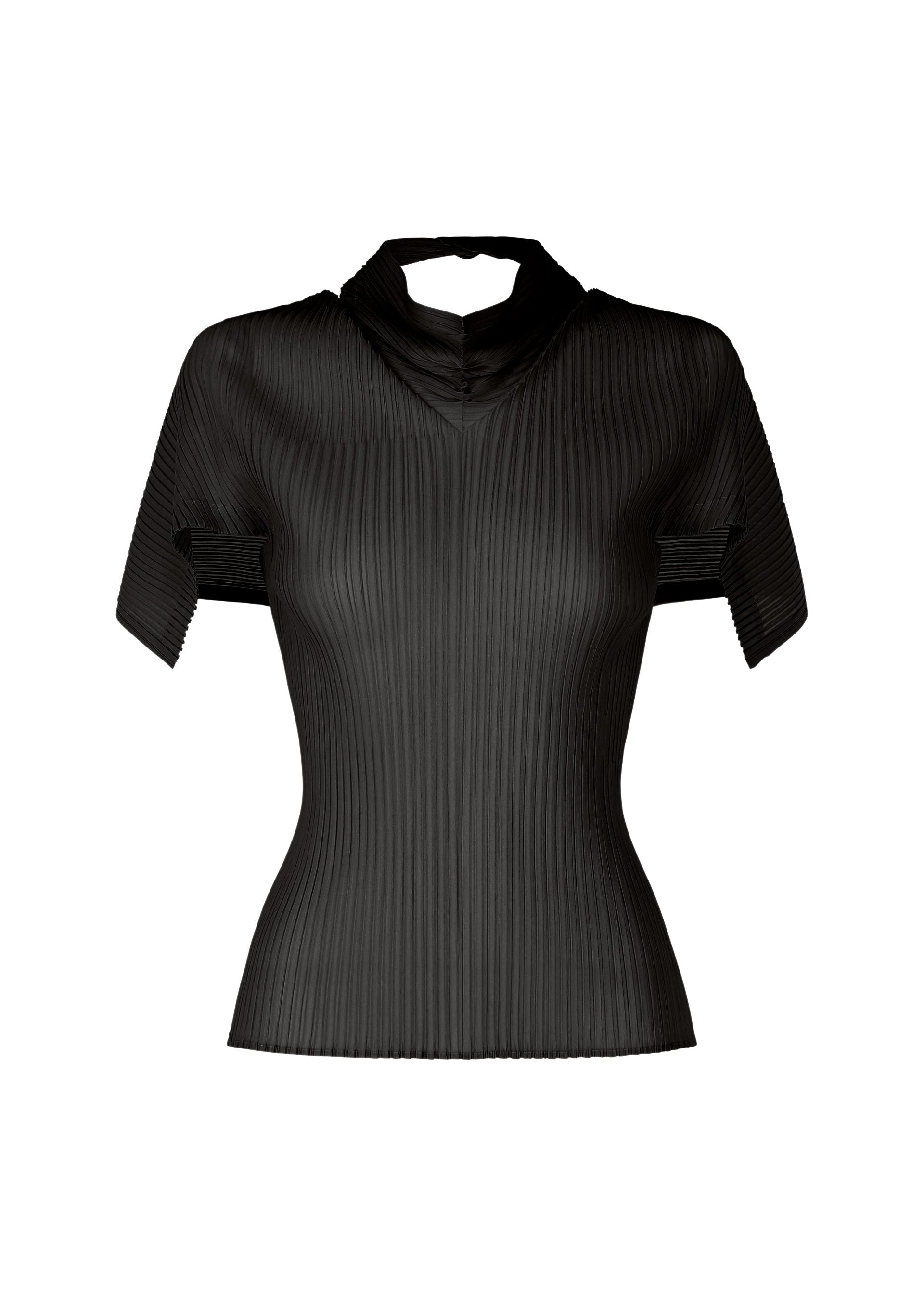 Sheer Scarf Pleats - BLACK