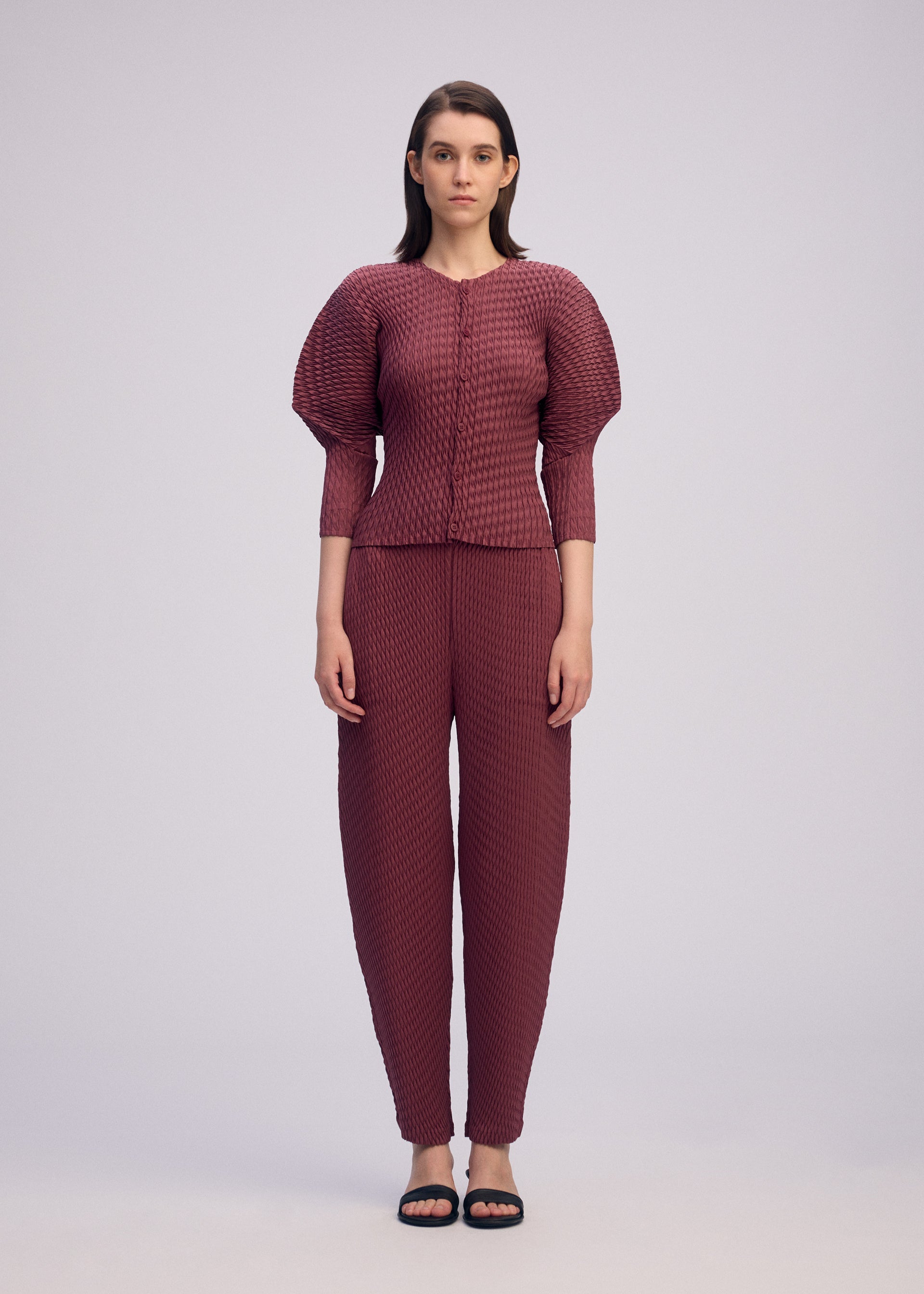 Sleek Pleats