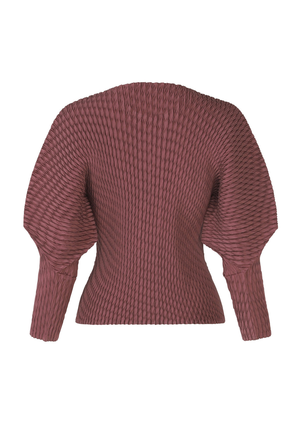 Sleek Pleats