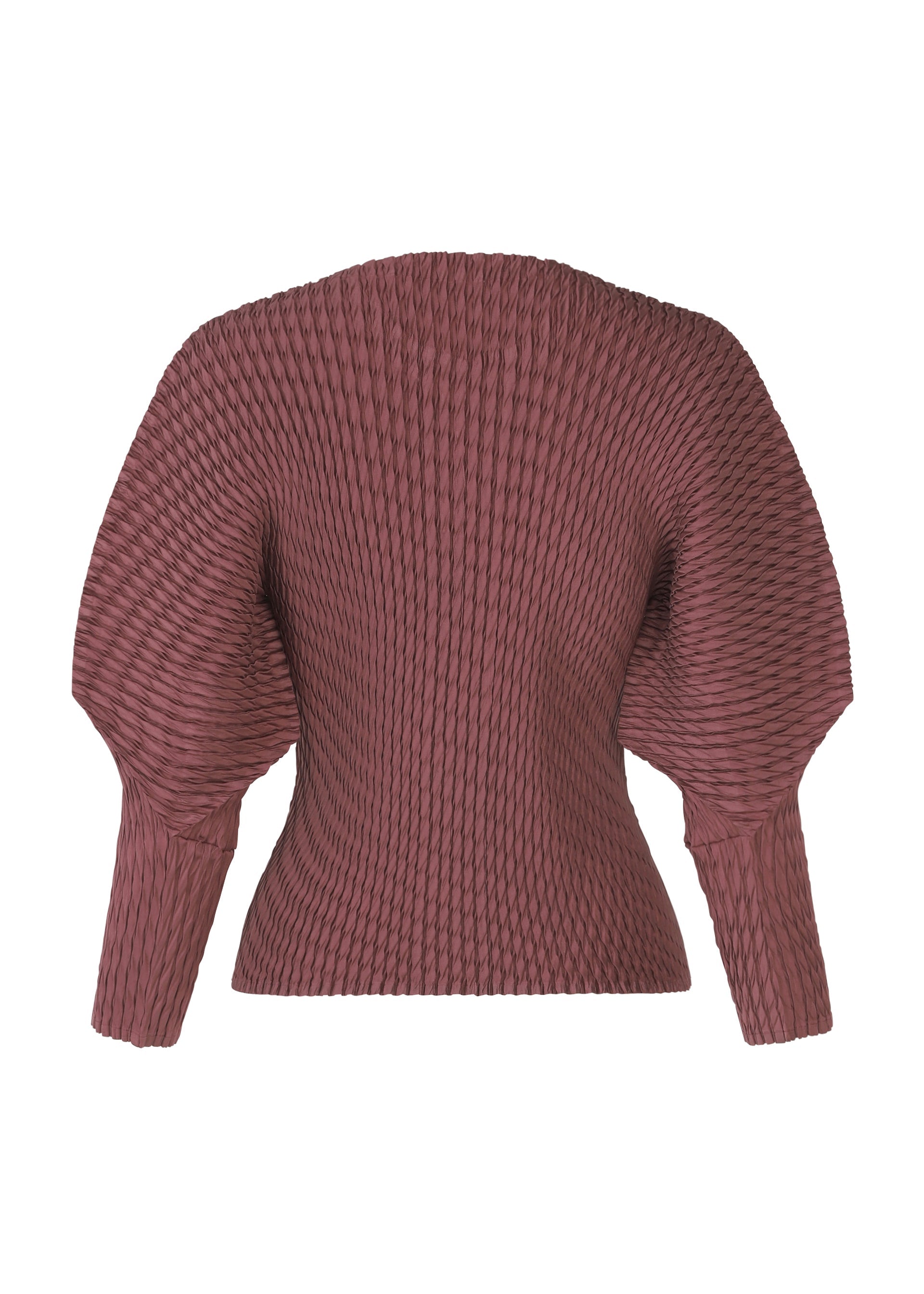 Sleek Pleats