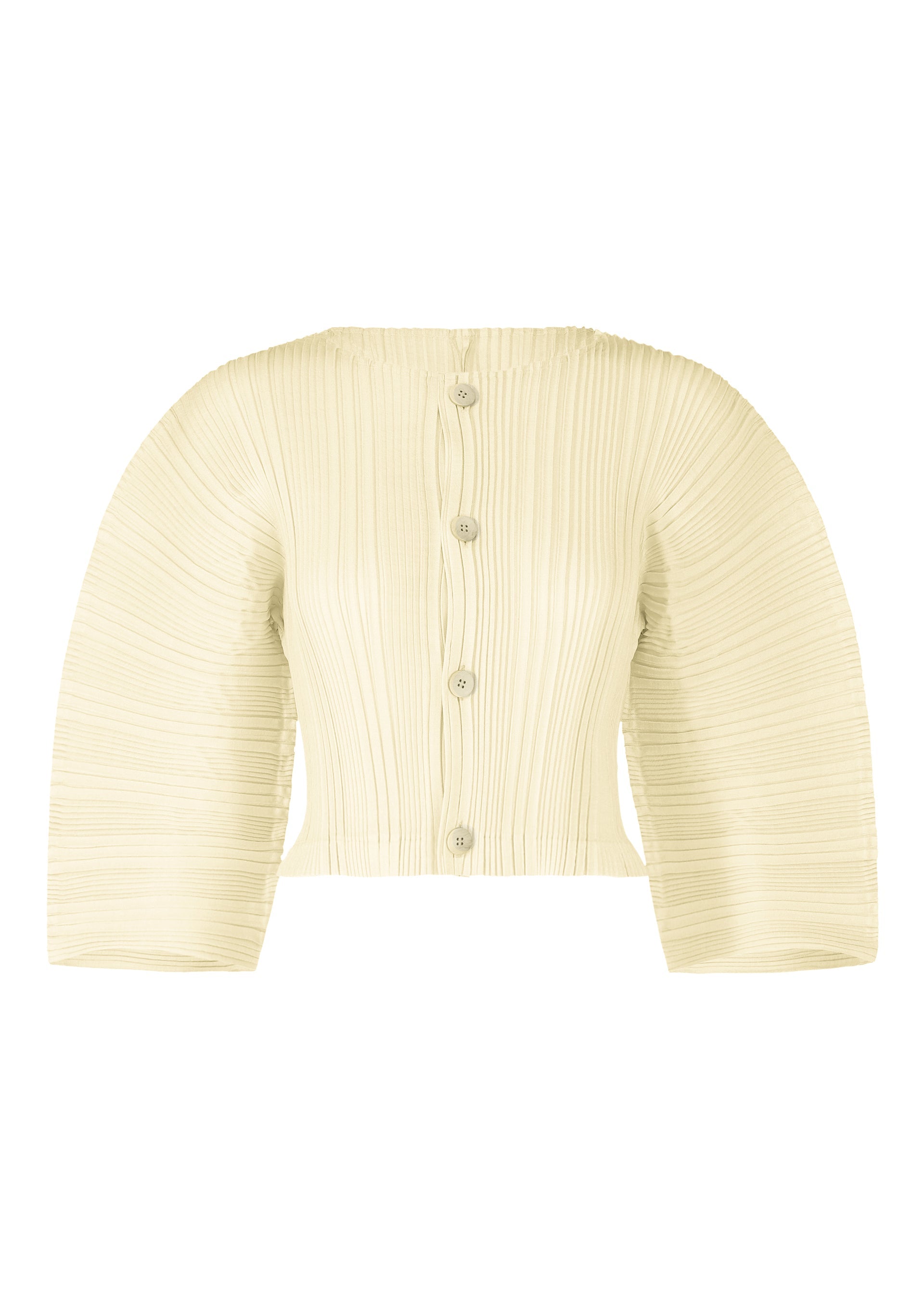 Linen Like Rib Pleats - IVORY