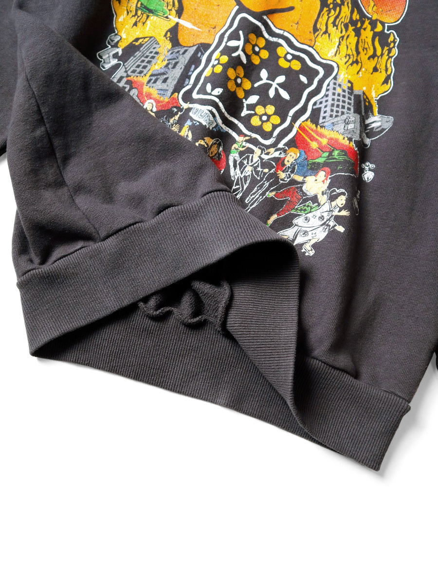 Fleece-lined Hooded Sweatshirt (BUSTER PECKISH RAINBOWYpt)