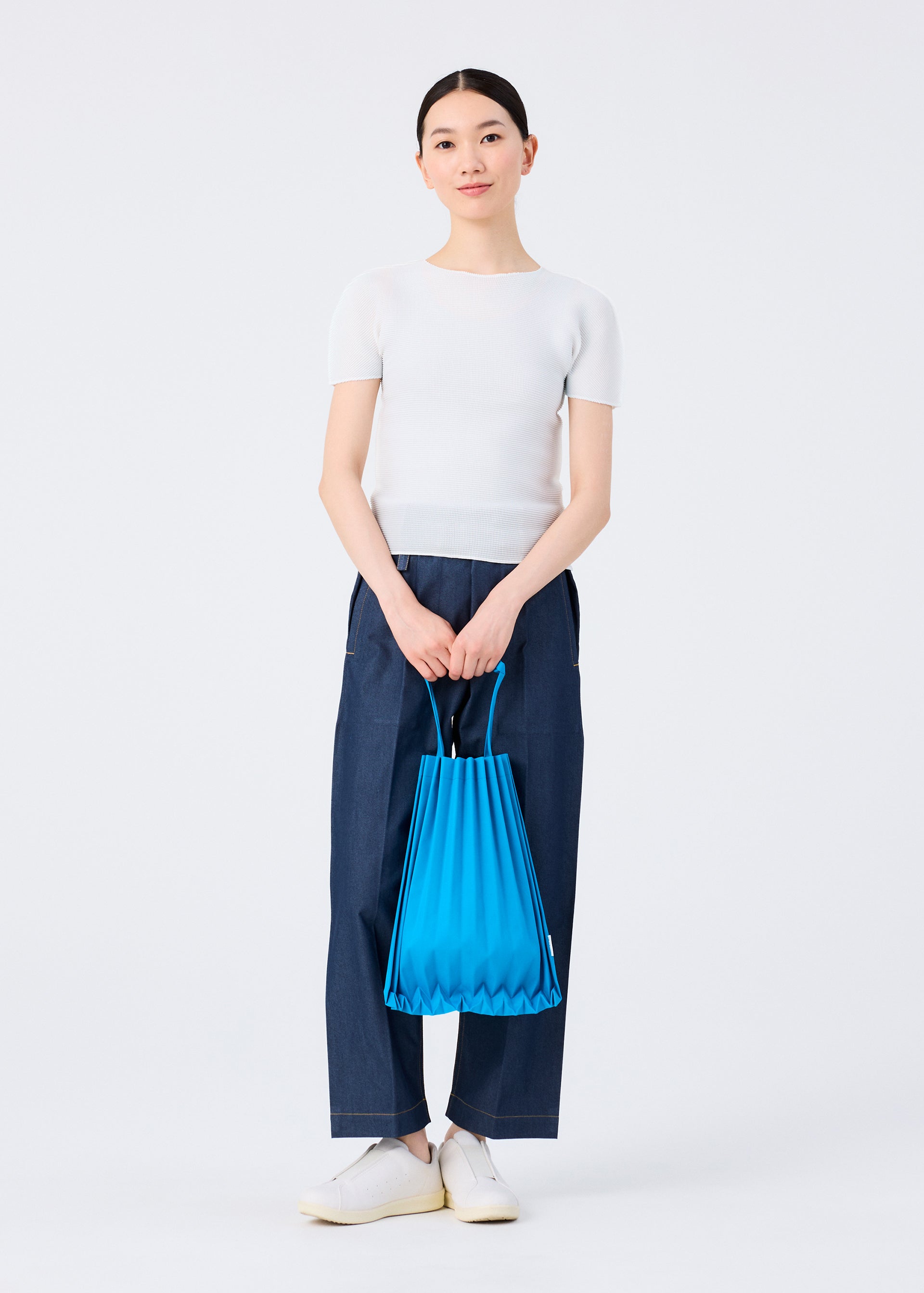 Trunk Pleats Bag 12