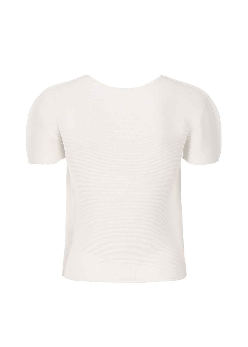 Stretch Pleats