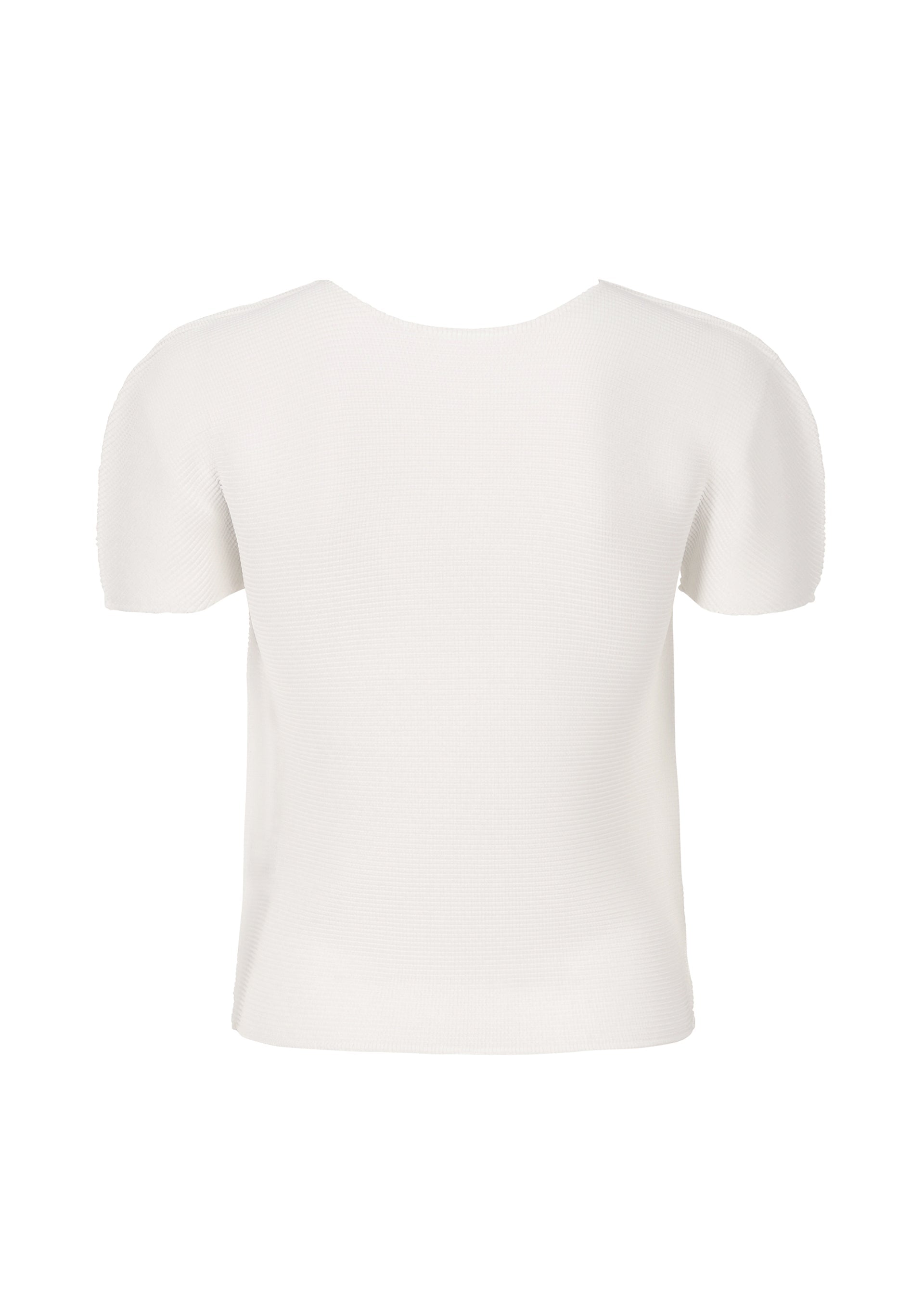 Stretch Pleats
