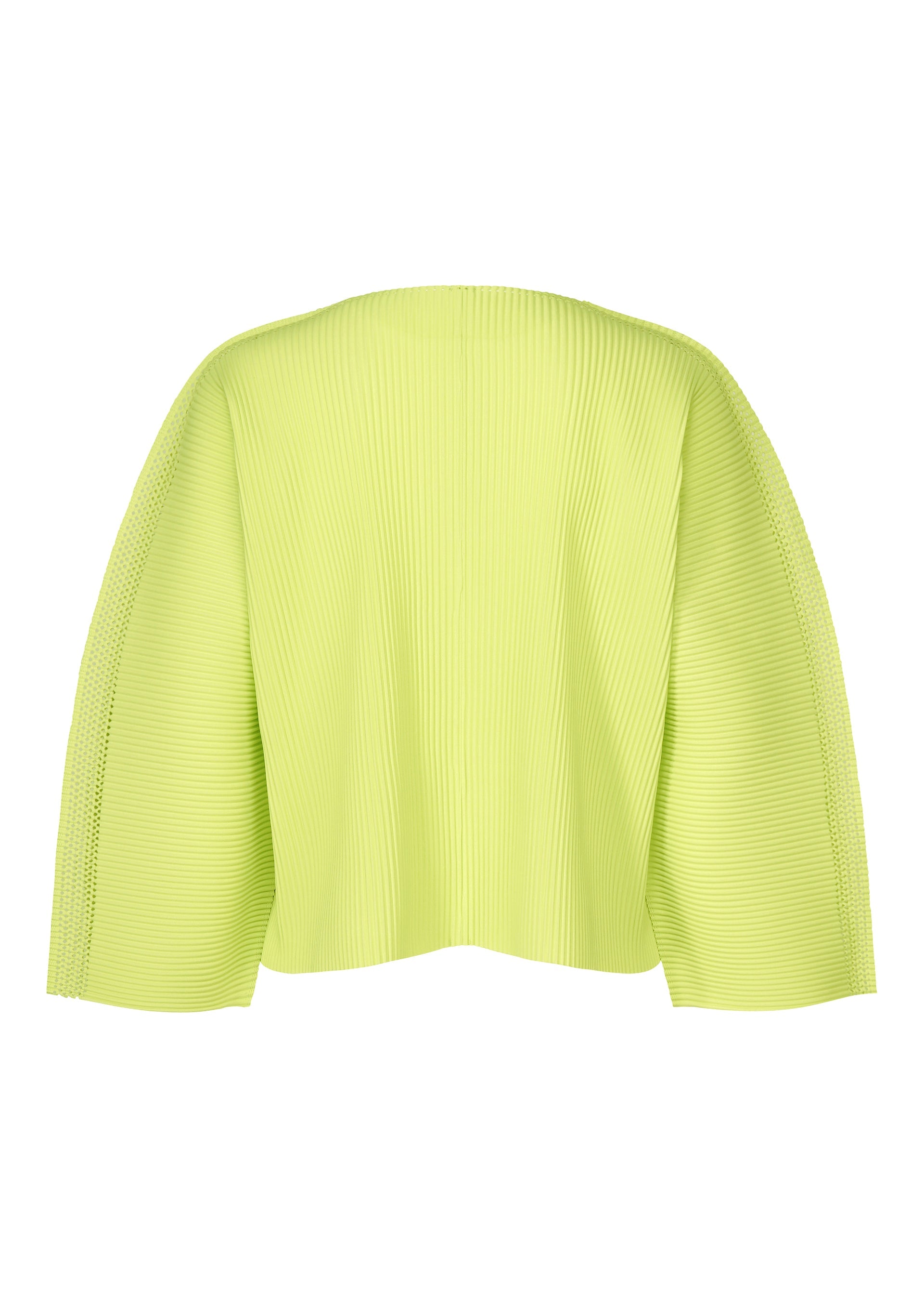 Mesh Pleats