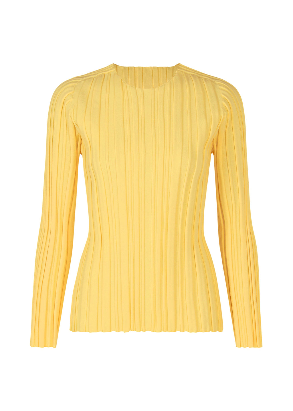 Rib Knit - CREAM YELLOW